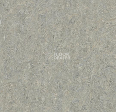 Линолеум Forbo Marmoleum Marbled Terra 5802-580235 alpine mist фото 1 | FLOORDEALER